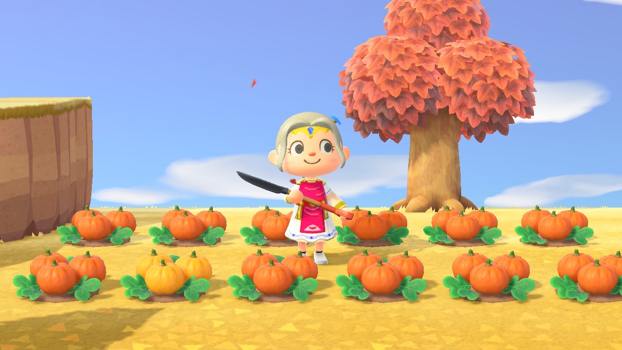 Animal Crossing: New Horizons Pumpkin Patch ready to harvest 